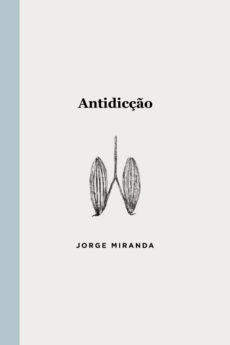 Antidicção