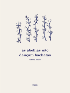 As Abelhas não Dançam Bachatas