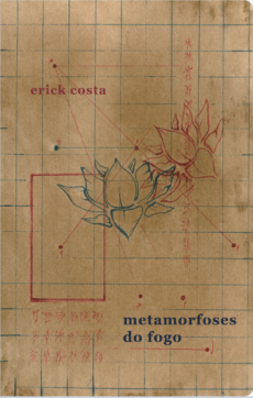 Metamorfoses do fogo