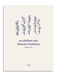 As Abelhas não Dançam Bachatas