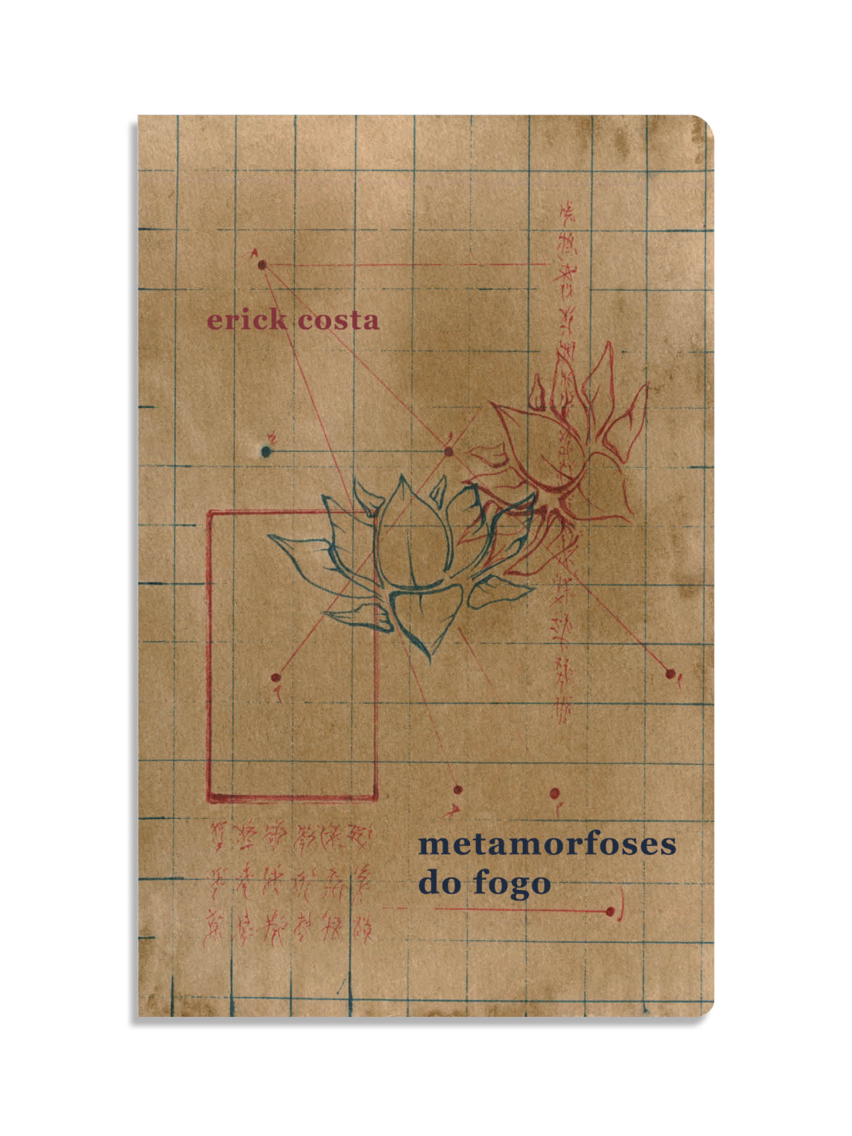 Metamorfoses do fogo