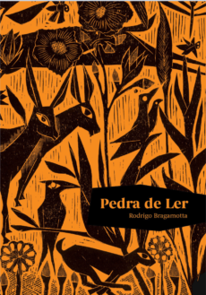 Pedra de ler