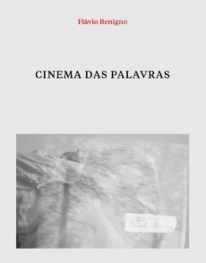 Cinema das palavras